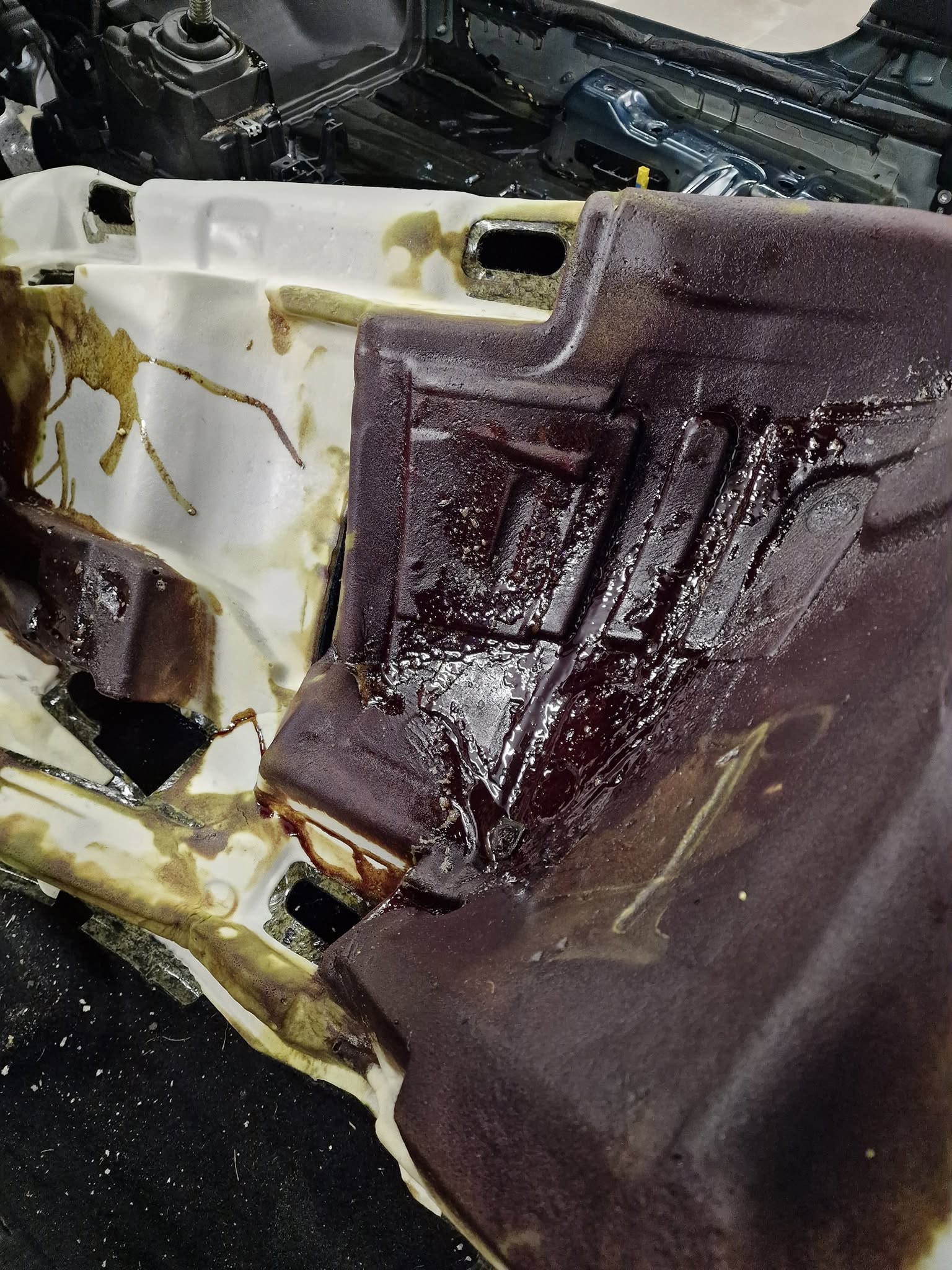 Celovita sanacija po razlitju 40 litrov bučnega olja - Škoda Octavia — ob prevzemu — slika 11