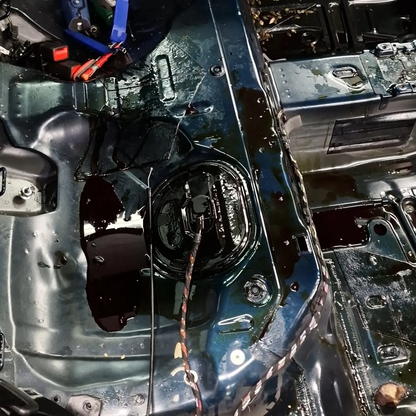 Celovita sanacija po razlitju 40 litrov bučnega olja - Škoda Octavia — ob prevzemu — slika 4