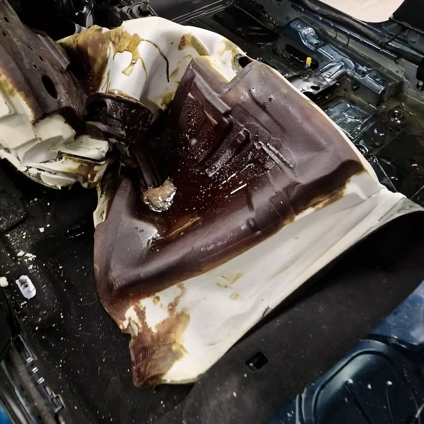 Celovita sanacija po razlitju 40 litrov bučnega olja - Škoda Octavia — ob prevzemu — slika 8
